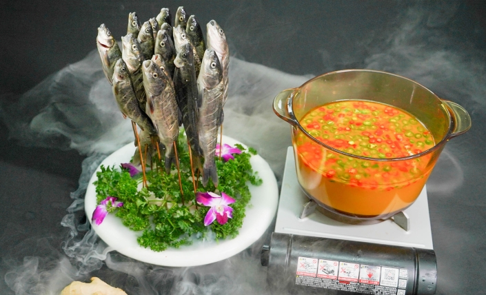 妙龄雅鱼 妙龄雅鱼